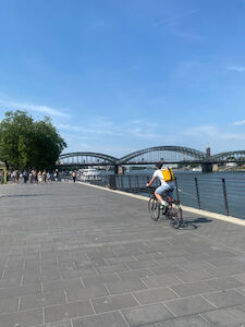 Radweg entlang des Rheins; im Hintergrund sieht man die Hohenzollernbrücke
