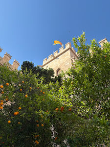 Orangenbäume im Vordergrund, im Hintergrund sind die Zinnen einer Burg zu sehen auf der die valencianische Flagge weht